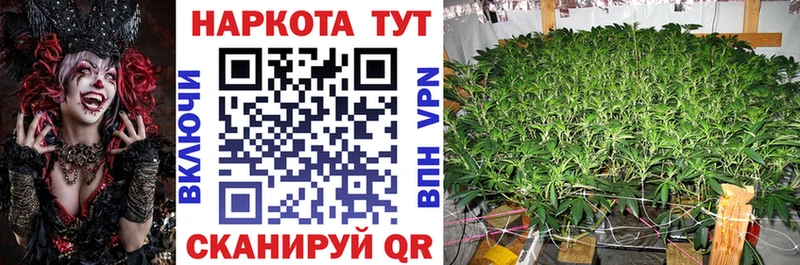 Купить наркотик Старица КОКАИН  Амфетамин  Псилоцибиновые грибы  Меф 