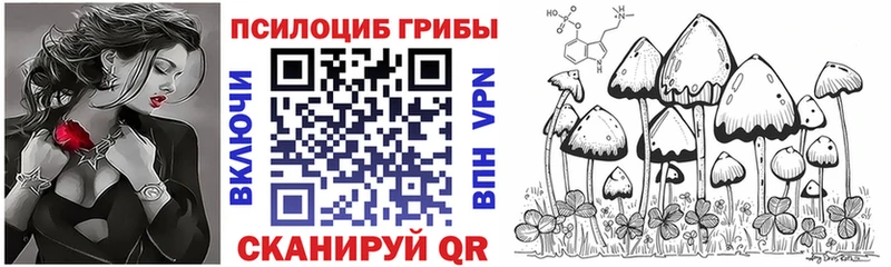 mega онион  Старица  Псилоцибиновые грибы Magic Shrooms 